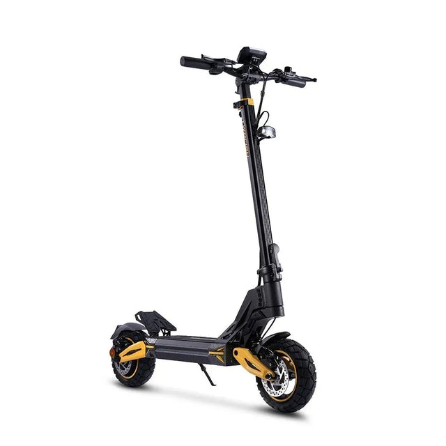 Twofish V2 Max Electric Scooter