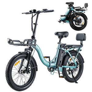 Twofish TF02 Electric Bike