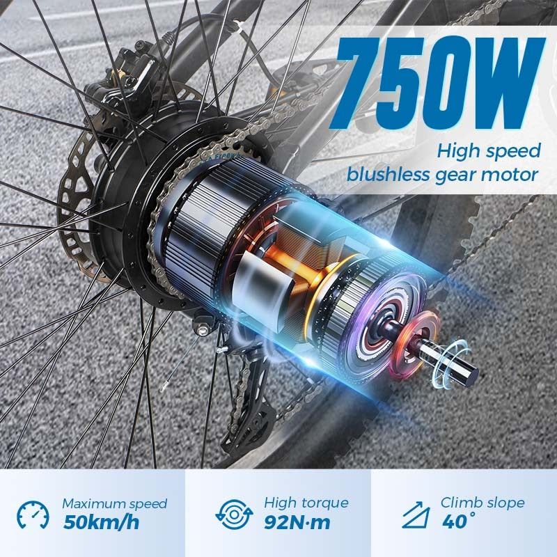 Chamrider DH420 Electric Bike 6