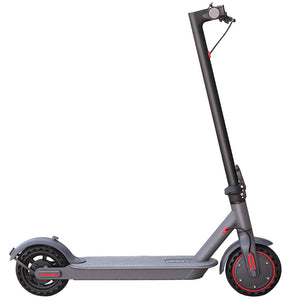Ladped LP80 Electric Scooter