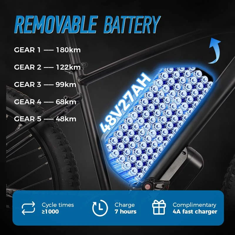 Chamrider DM427 Electric Bike 7