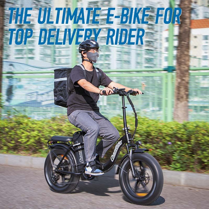 Chamrider DT450 Electric Bike 9