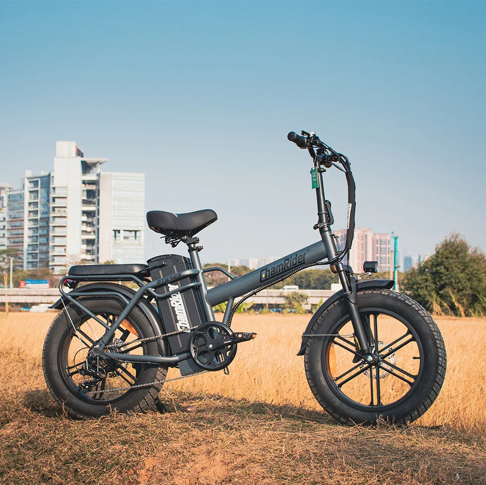 Chamrider DTS425 Electric Bike 13
