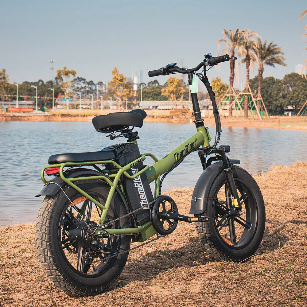 Chamrider DTS425 Electric Bike 14