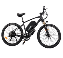 Chamrider DM427 Electric Bike