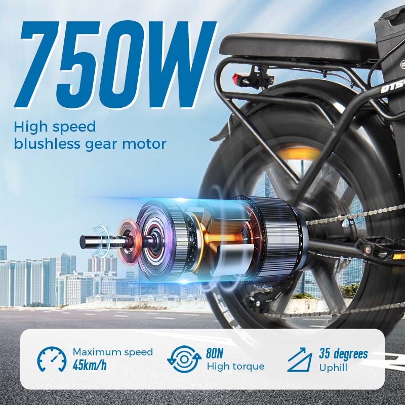 Chamrider DTS425 Electric Bike 5