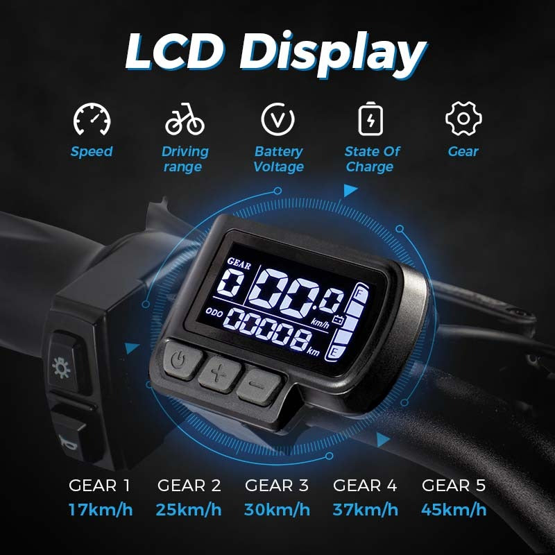 Chamrider DTS425 Electric Bike 6