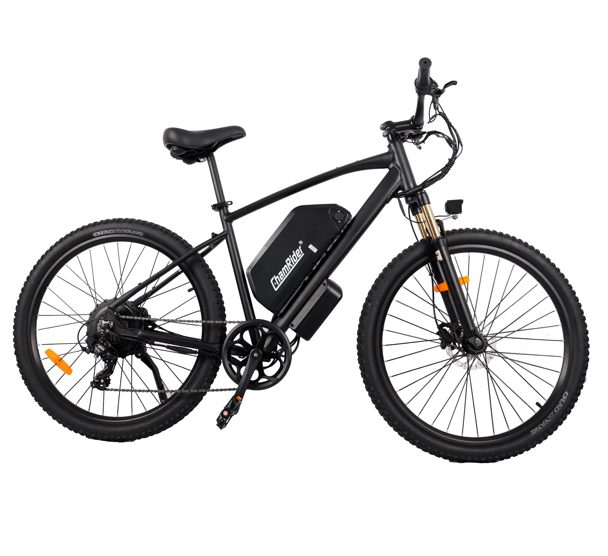 Chamrider DM427 Electric Bike 2