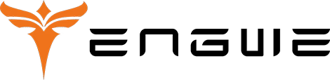 Logo featuring an abstract orange bird-like design on the left, followed by the stylized black text ENGWE in modern, angular font.