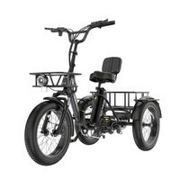 Koolux X13 Electric Tricycle - product image 3