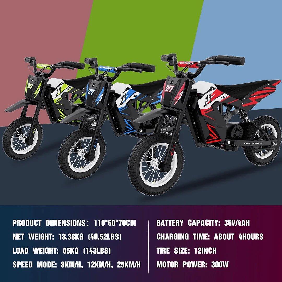 RCB R9X 300W Kids Electric Dirt Bike