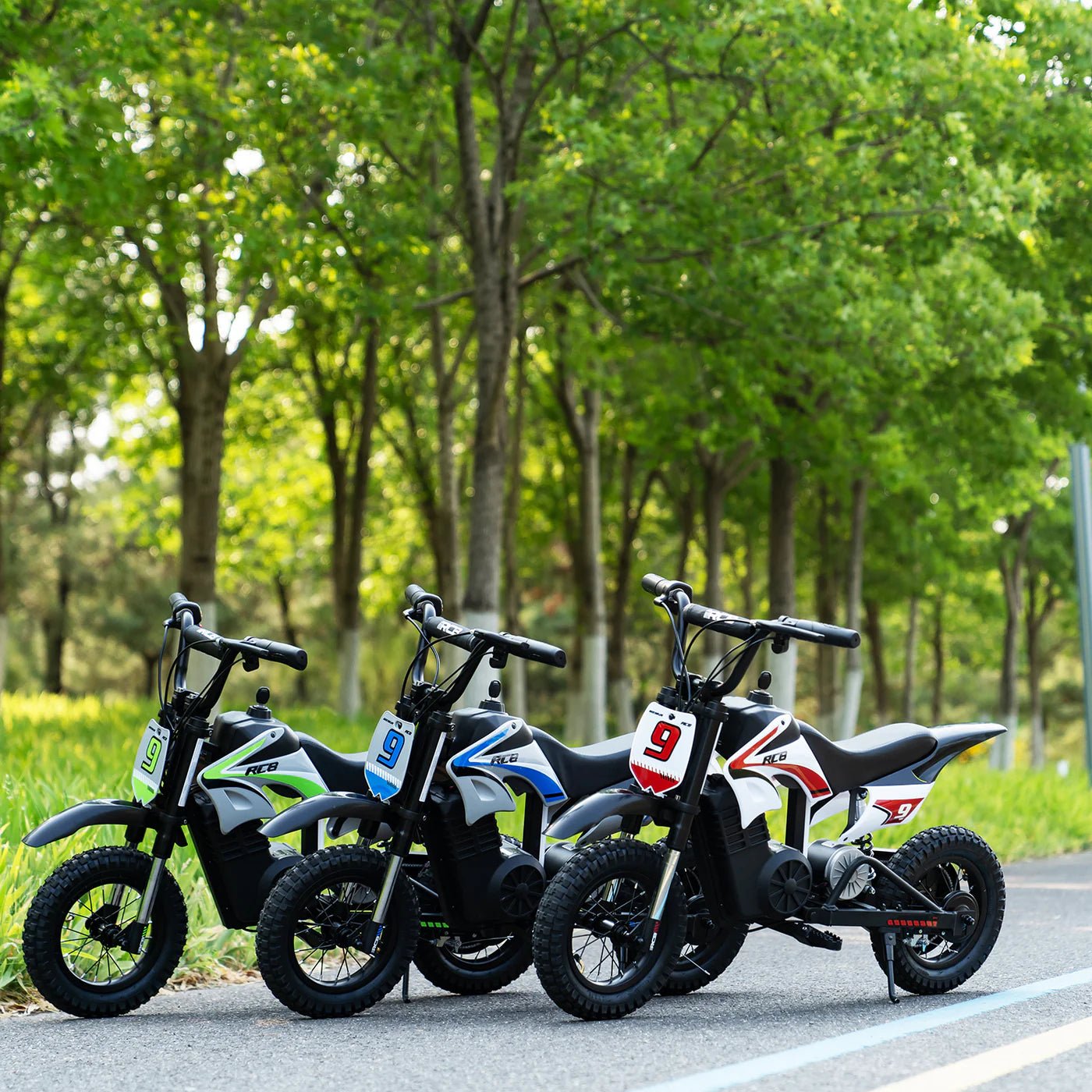 RCB R9X Pro Kids Electric Dirt Bike 350W 36V 5.2Ah