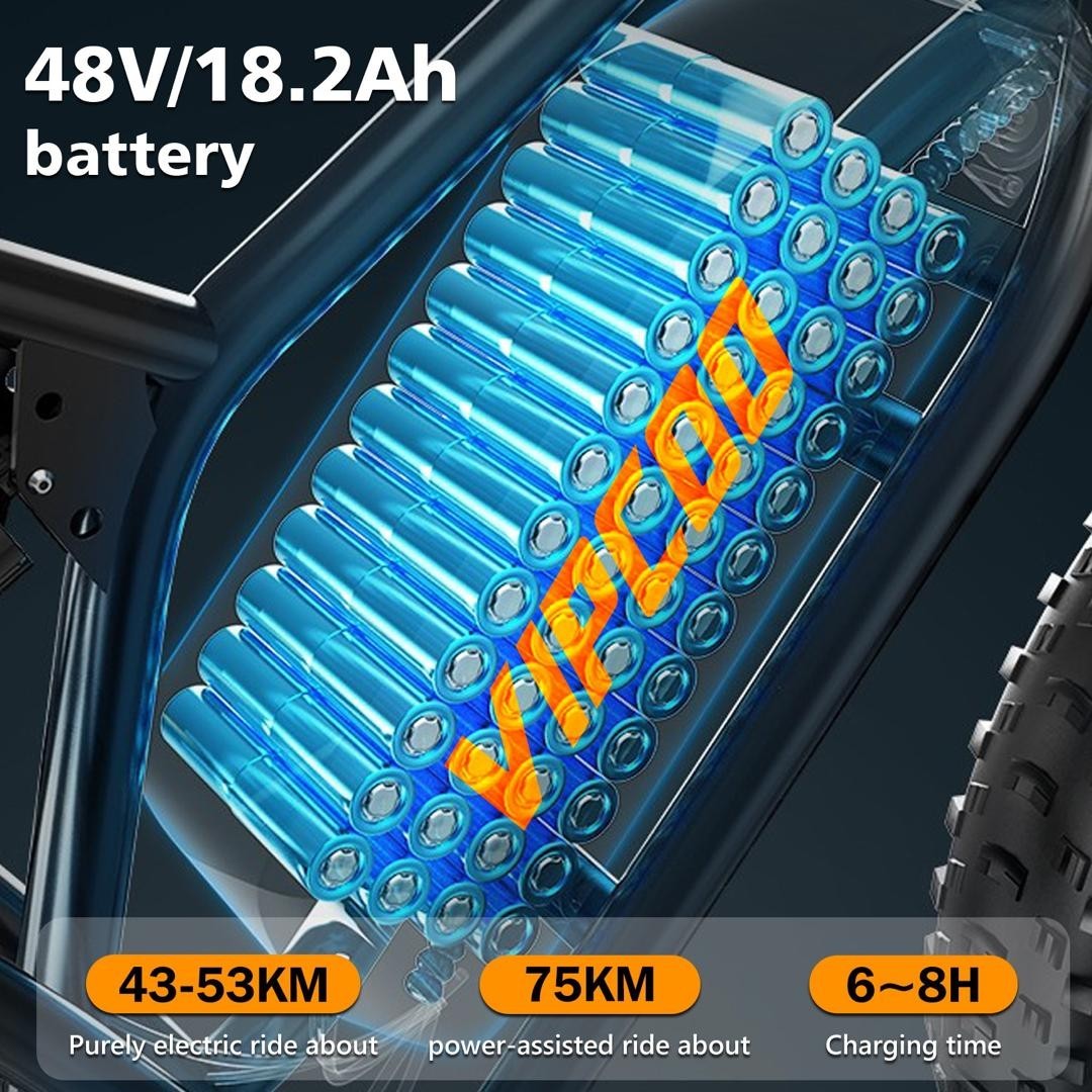 VIPCOO VM6 Electric Bike 250W 48V 18.2Ah 20 inch Fat Tire E-Bike Vipcoo