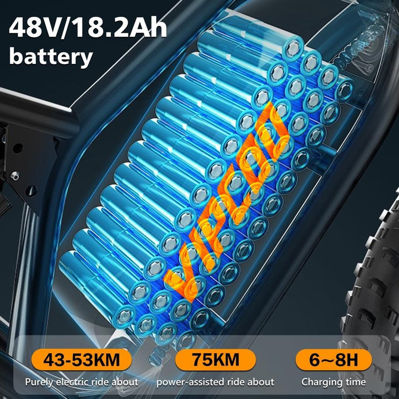 VIPCOO VM6 Electric Bike 250W 48V 18.2Ah 20 inch Fat Tire E-Bike Vipcoo