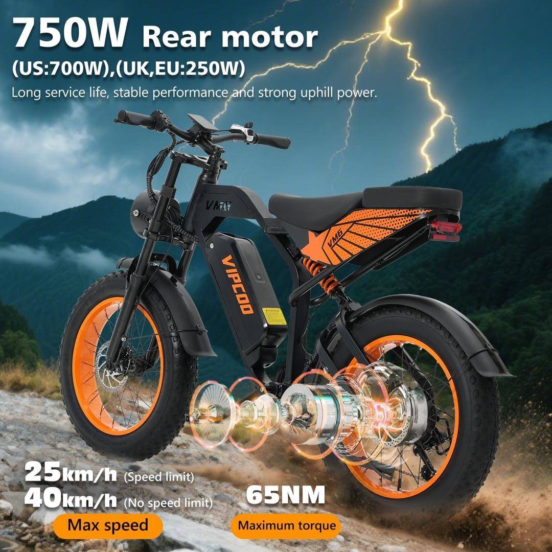 VIPCOO VM6 Electric Bike 750W 48V 18.2Ah 20 inch Fat Tire E-Bike Vipcoo