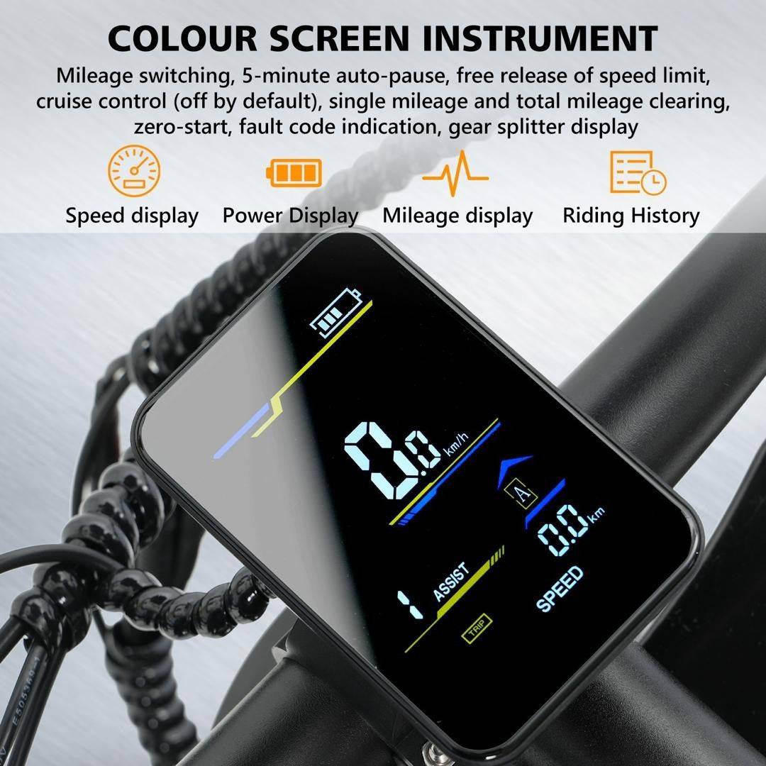 VIPCOO VM6 Electric Bike 250W 48V 18.2Ah 20 inch Fat Tire E-Bike Vipcoo