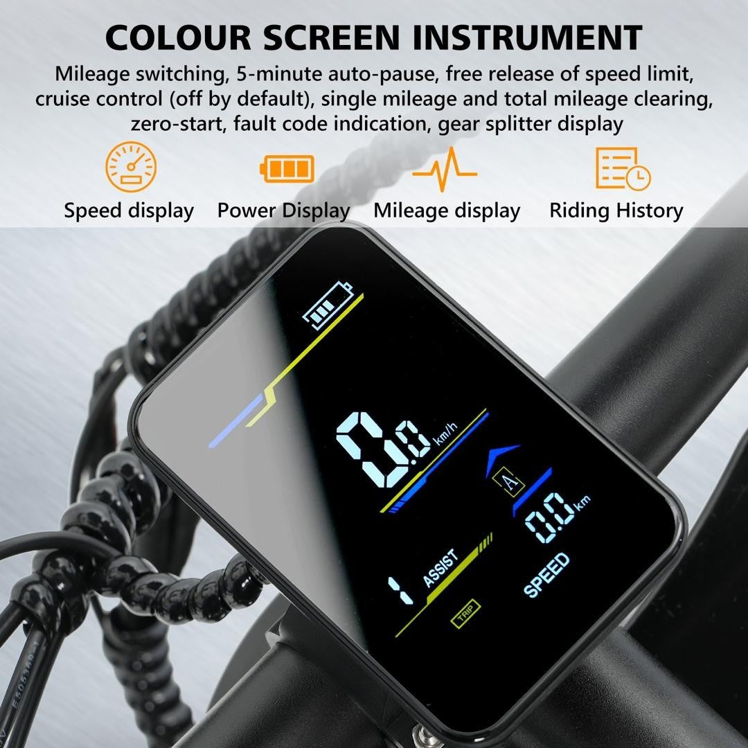 VIPCOO VM6 Electric Bike 250W 48V 18.2Ah 20 inch Fat Tire E-Bike Vipcoo